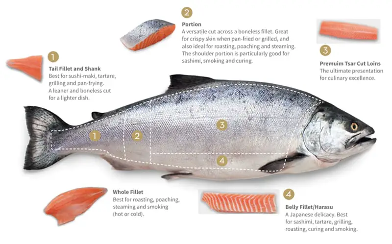 Coho vs Chinook: Salmon Showdown in the Kitchen